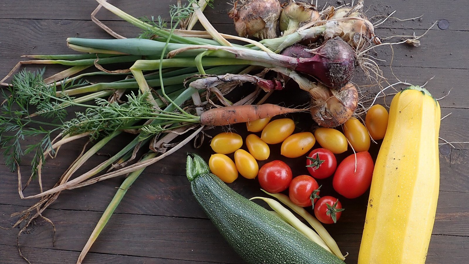 Vegetable beds on a community allotment site